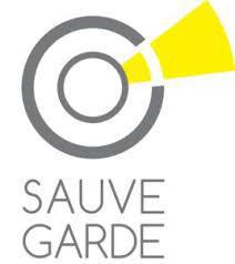 Projet AM Voiturette Sauvegarde