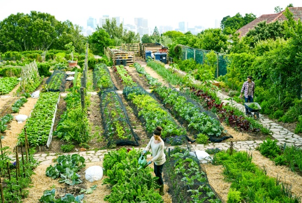 Des liens fertiles pour une terre solidaire