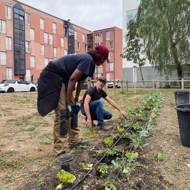 Organisation du réseau national de l'agriculture urbaine