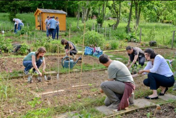 Tous ensemble avec l'habitat inclusif «La Maison d'Alexandre»