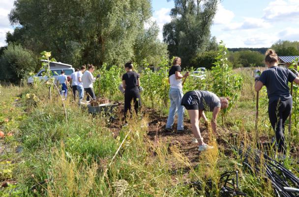 Le potager étudiant coopératif de Blois